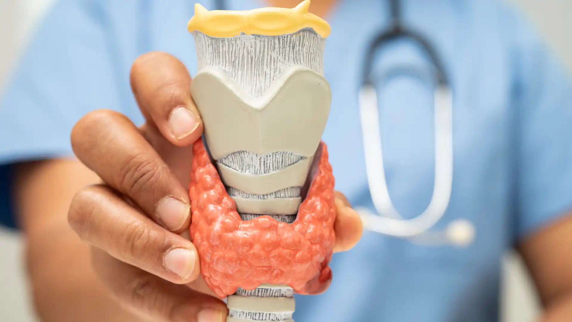 Dental Bone graft in Turkey